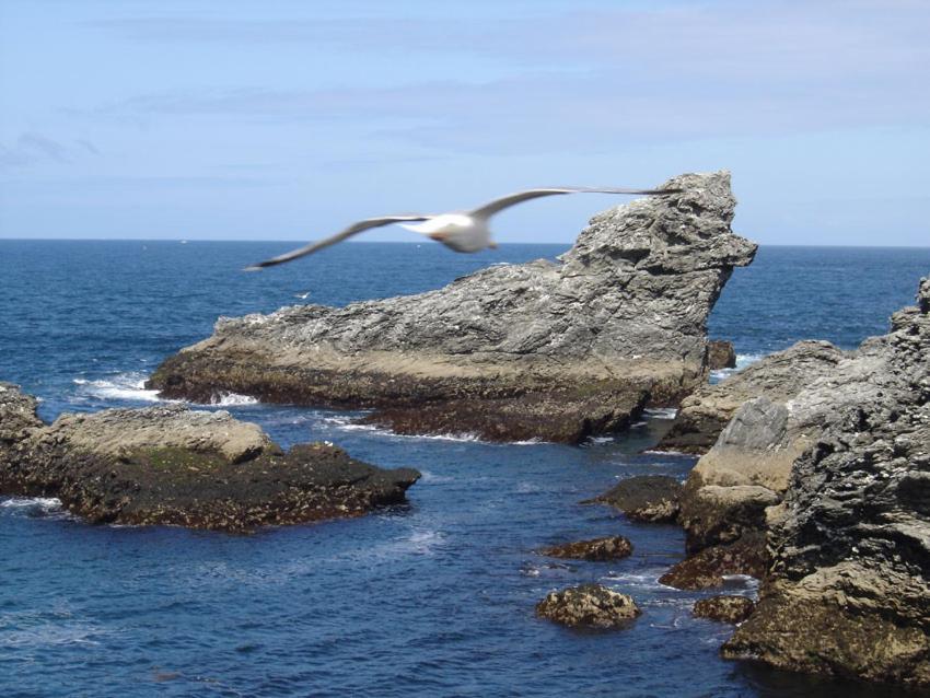 Ty Dreux Entre Terre Et Mer Panzió Saint-Thégonnec Kültér fotó